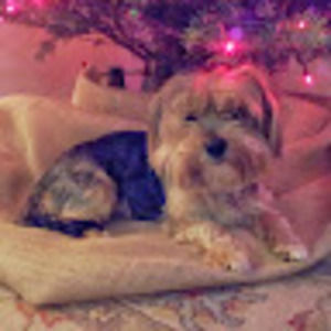 Meet your Posher, Pamela